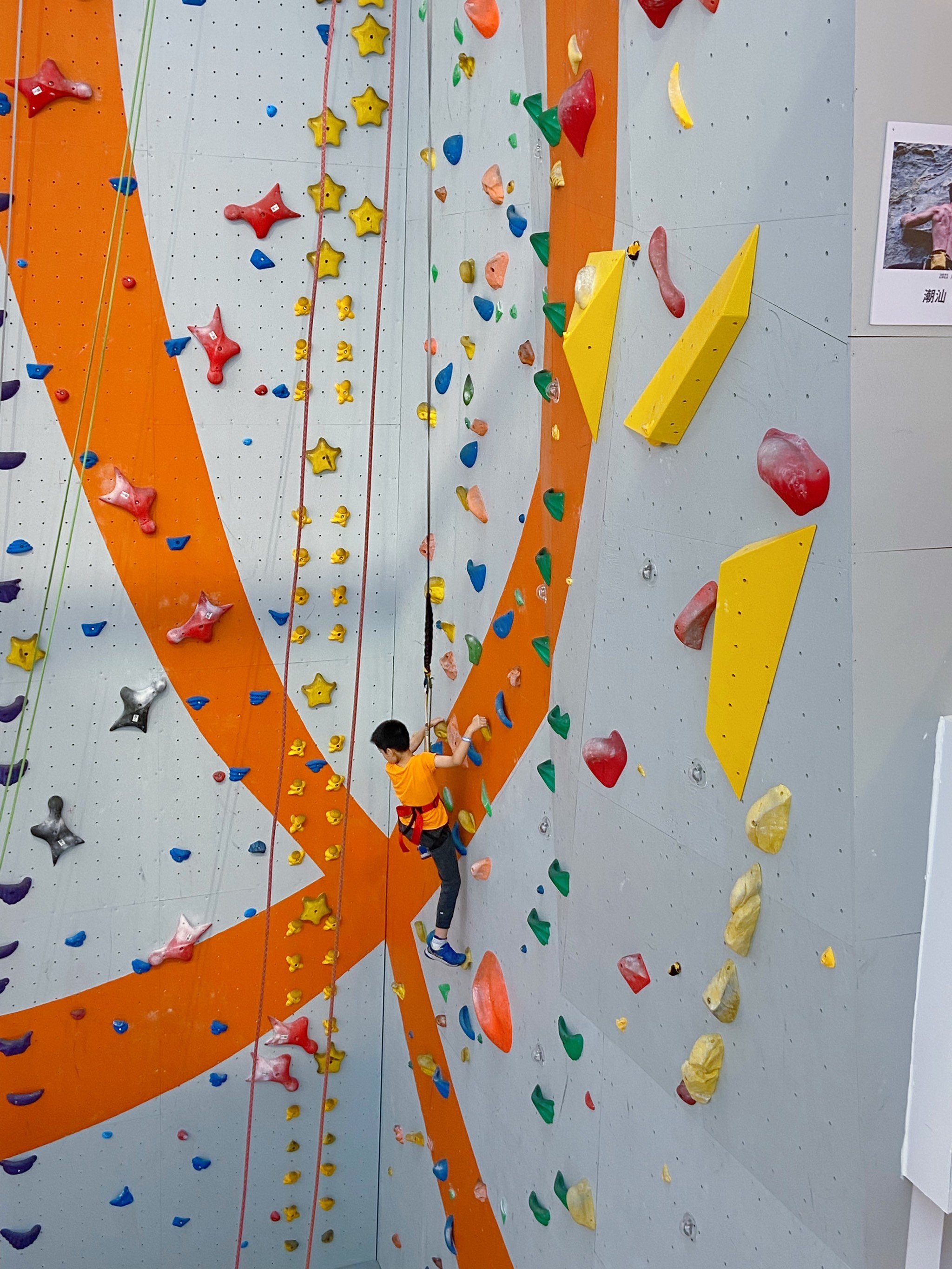 九游娱乐登录-特色攀树挑战赛，锻炼平衡感和勇气的简单介绍