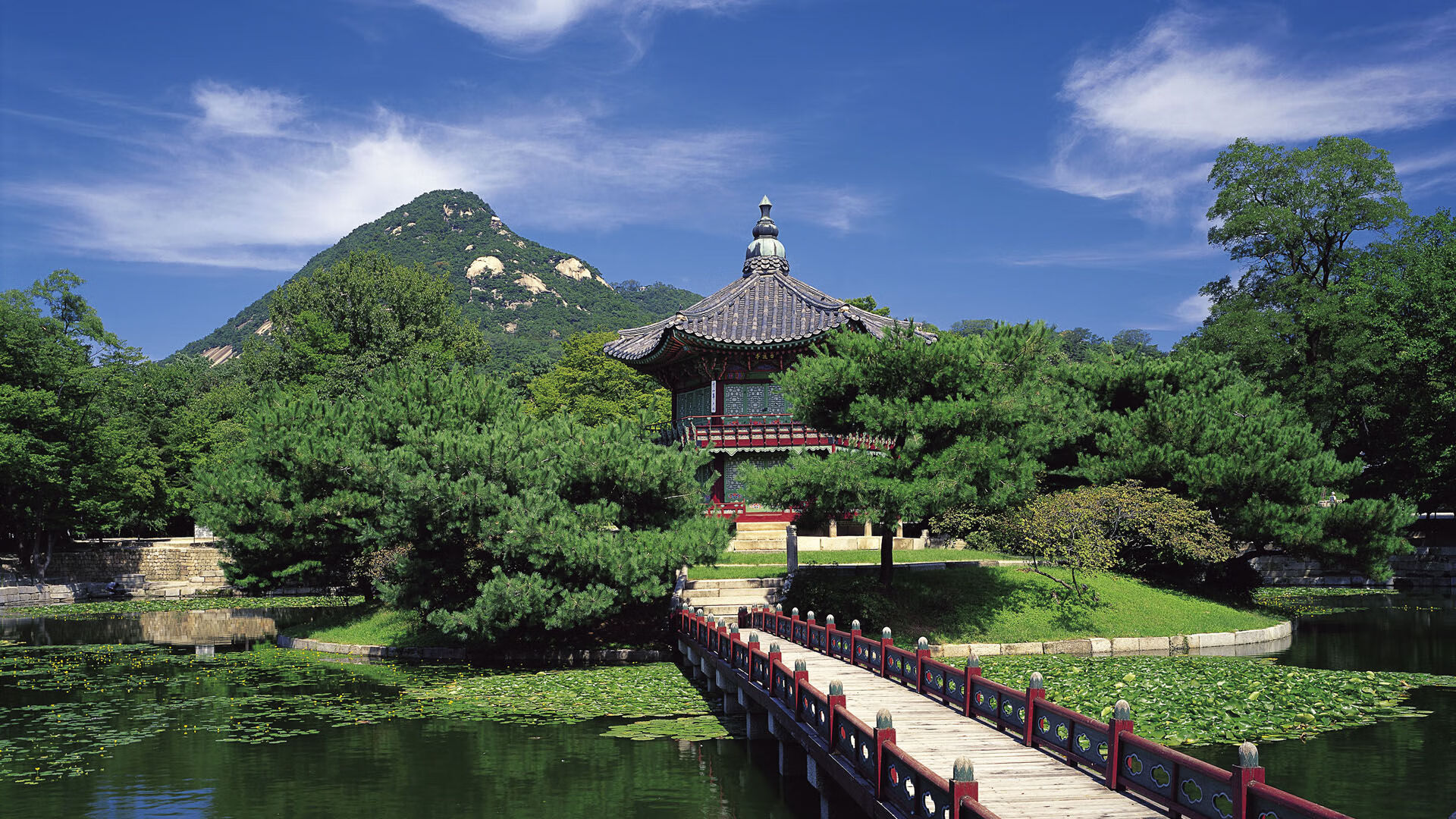 九游体育网页登陆-国家队篮球战术执行力提升策略，篮球战术意识培养