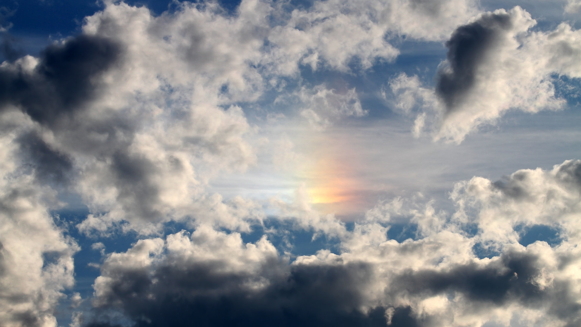 九游娱乐入口-斯图加特是否具备中场控制力提升空间，斯图加特dsh