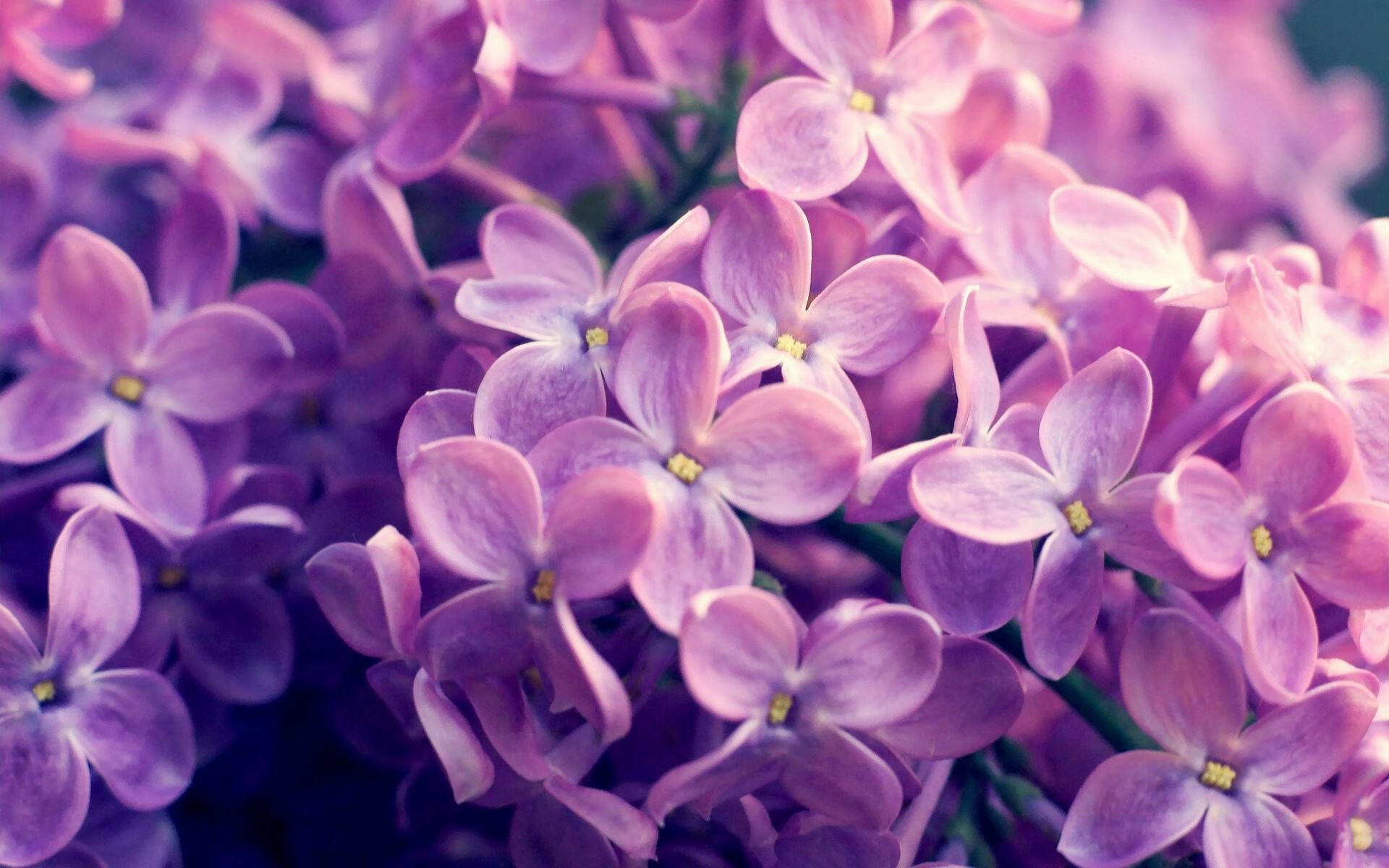 法国队小组赛仅积2分,无缘淘汰赛,法国队coman