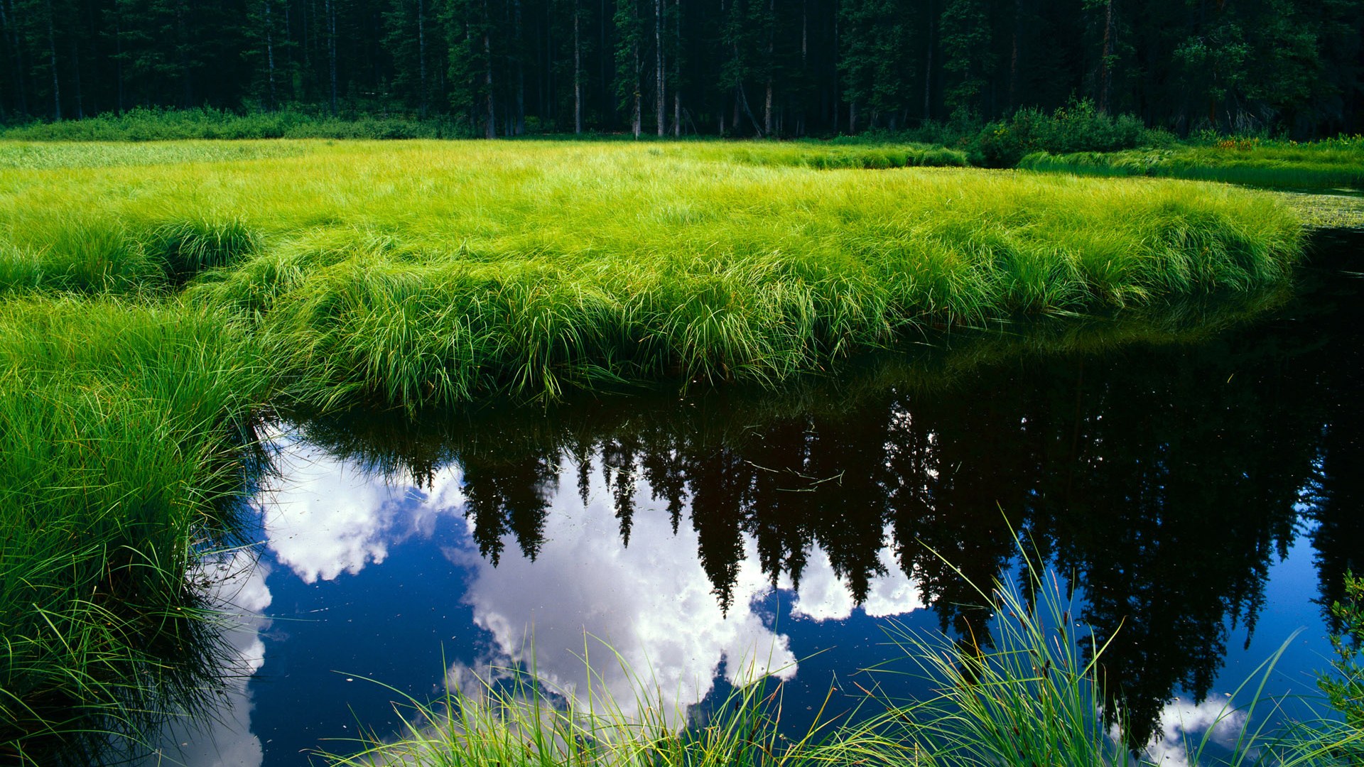 申花迎战韩国劲旅,备战决赛,申花韩国球员