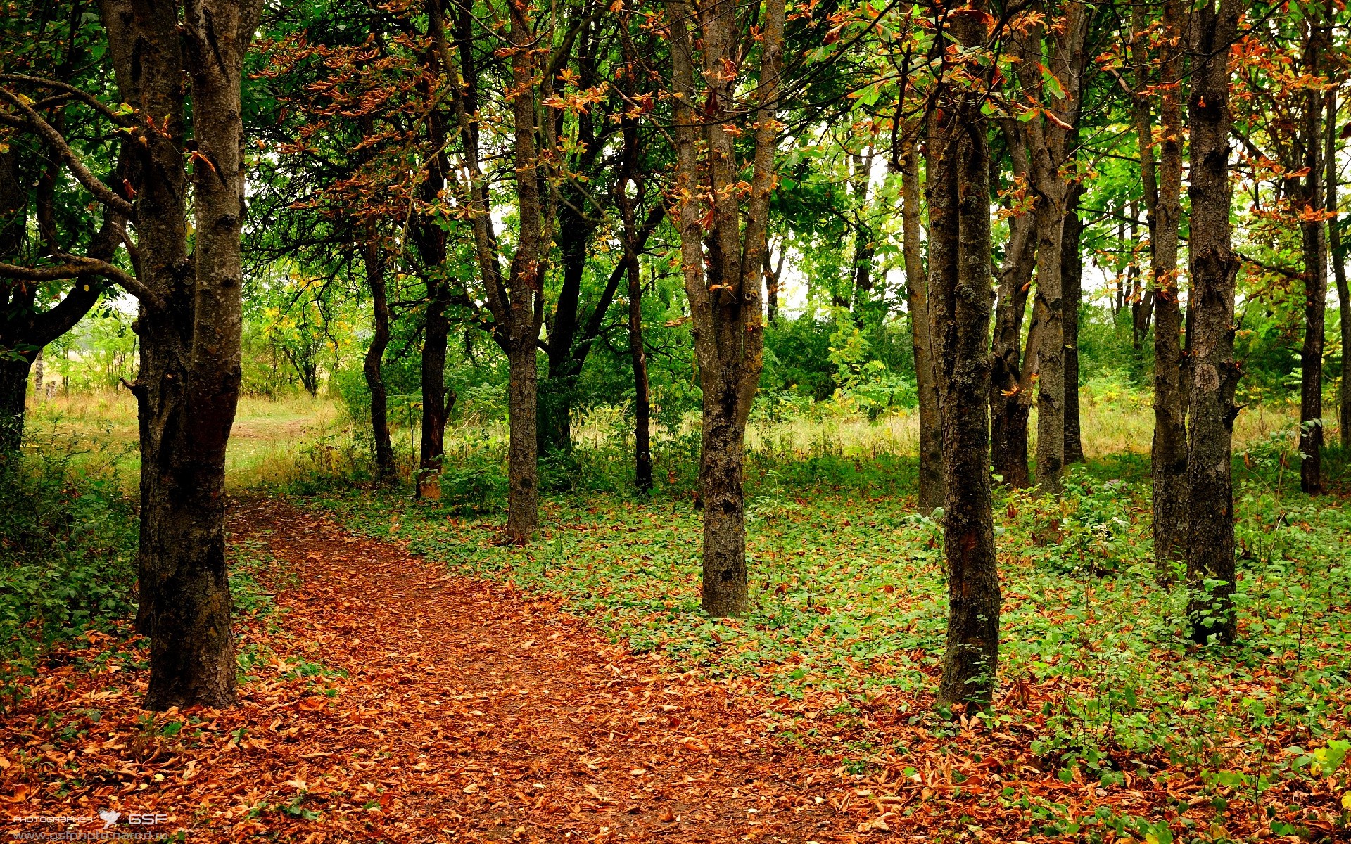 中超中路逼抢战术成功率趋势，中超对阵规则