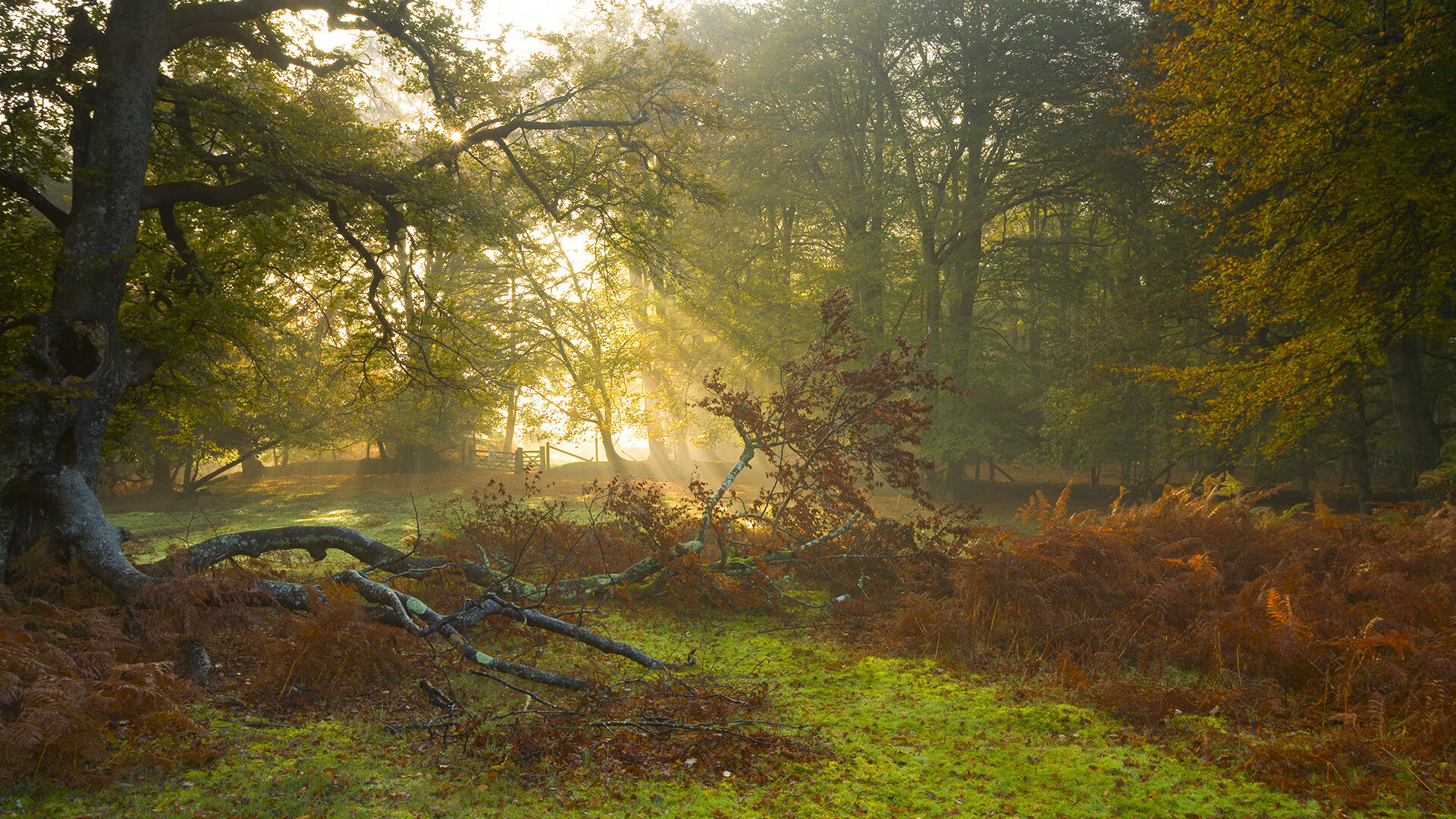 -五大联赛是否利用中卫长传精准度打破对方高位站位，五大联赛中场排行