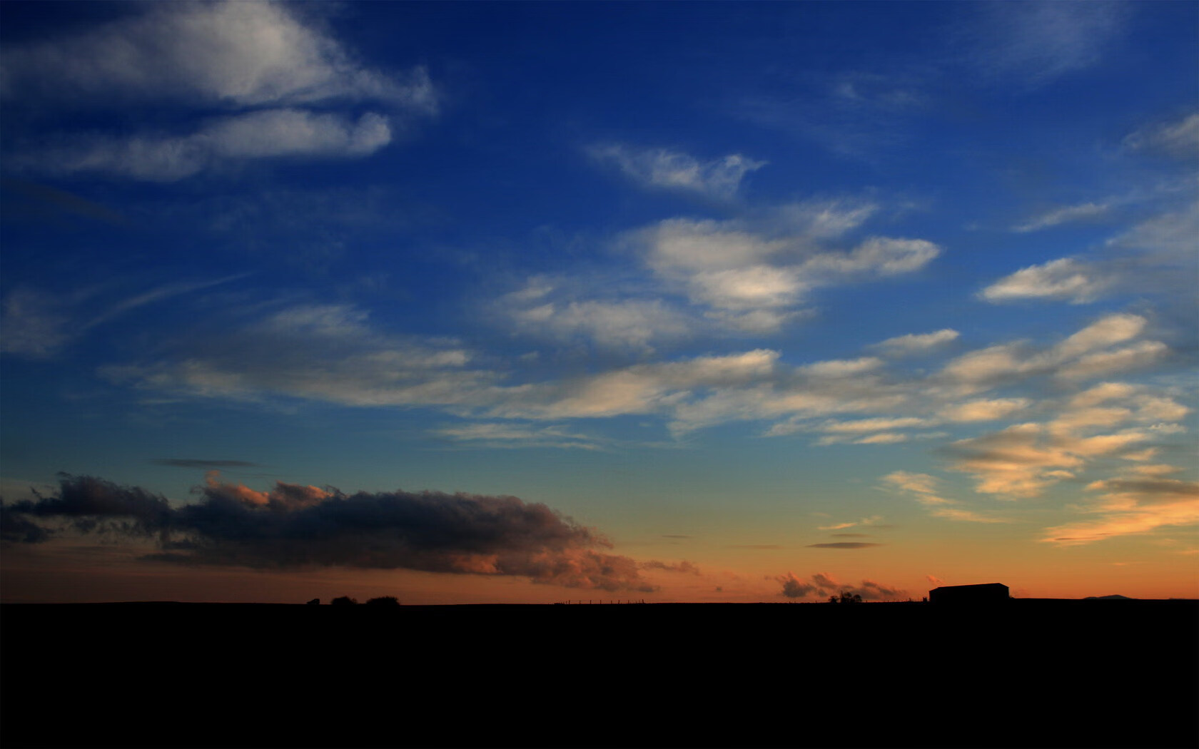 美国队接力队员齐心协力助力夺冠