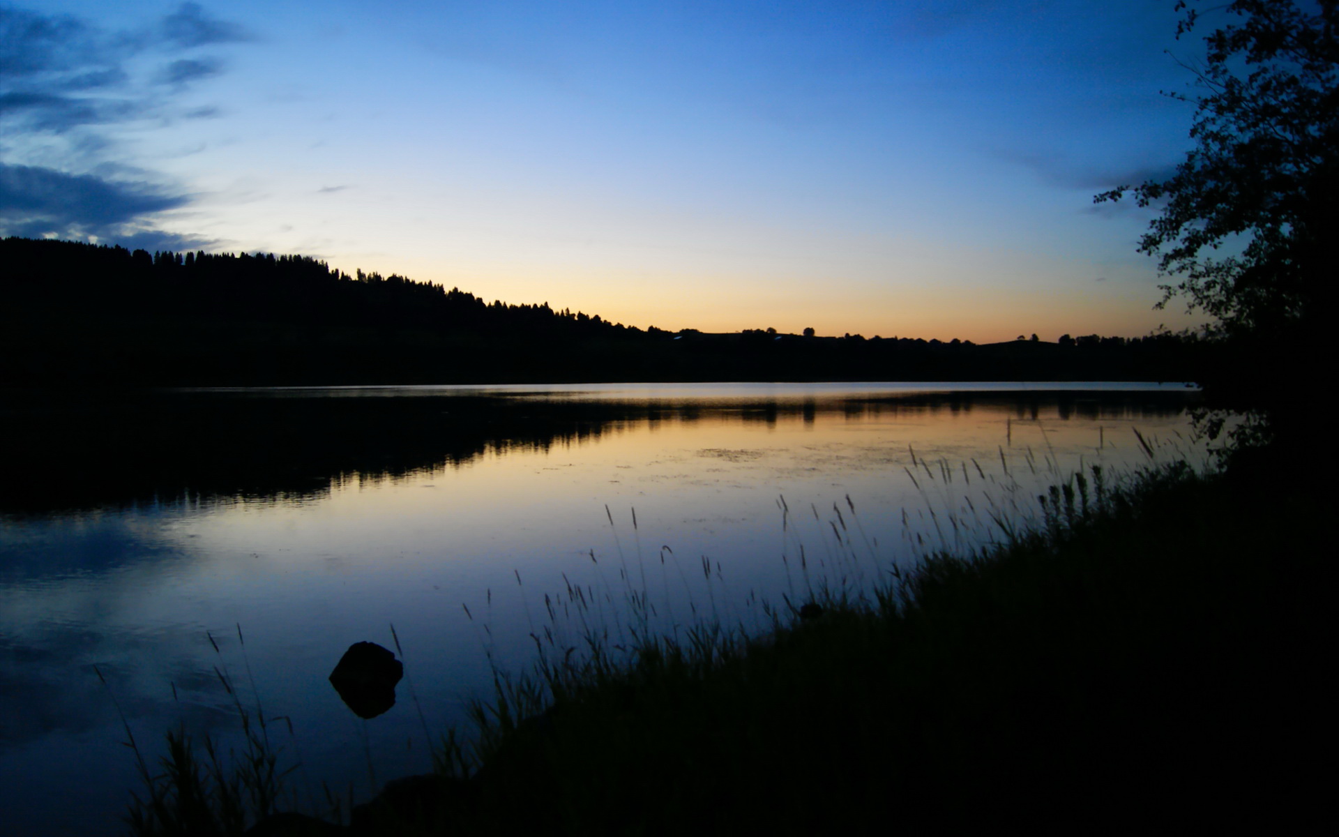绿色能源足球场成为新趋势，行业迈向低碳绿色发展，足球场绿地