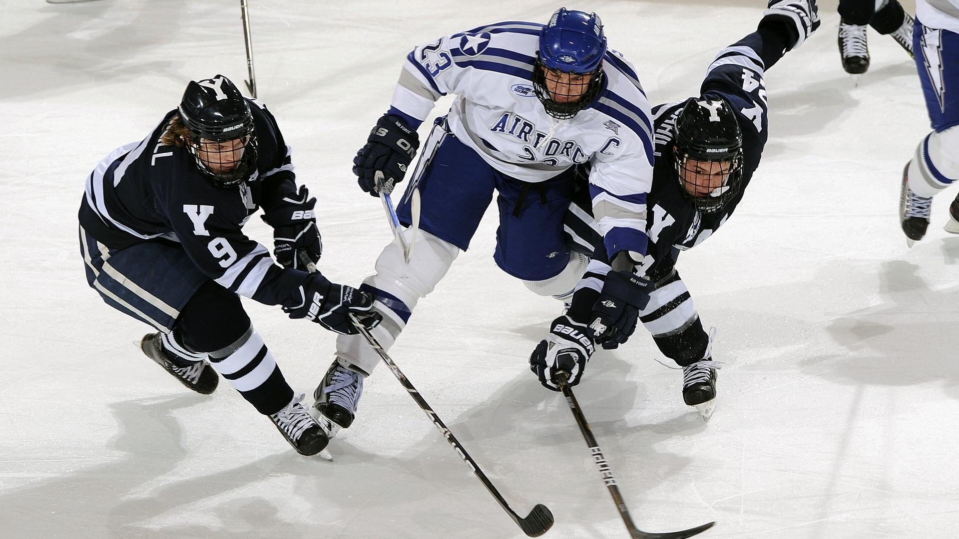 【世界冠军风采】他们的成功之路与未来展望，世界冠军背后的艰辛